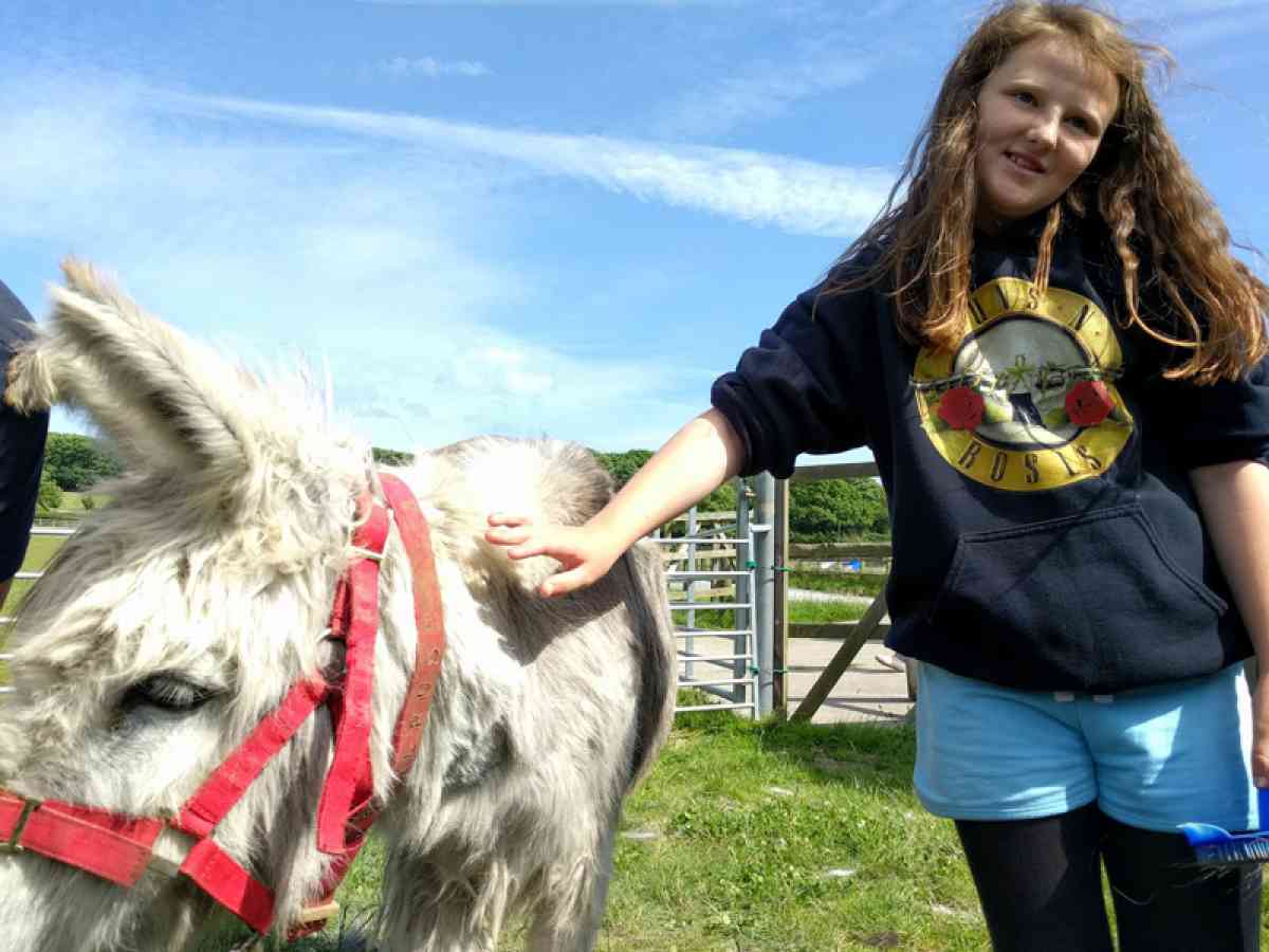 Isle Of Wight Donkey Sanctuary picture gallery